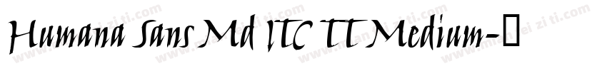 Humana Sans Md ITC TT Medium字体转换